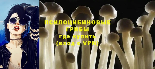 скорость Приозерск