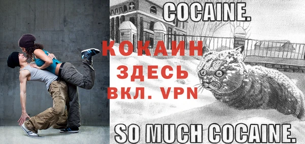 PSILOCYBIN Дедовск