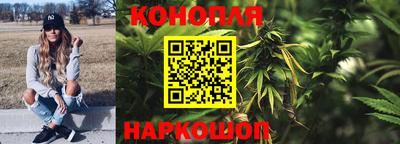 крисы Партизанск
