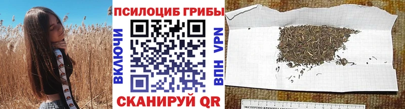 Галлюциногенные грибы GOLDEN TEACHER Тейково