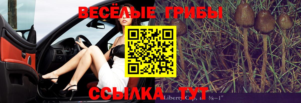 Псилоцибиновые грибы GOLDEN TEACHER Тейково